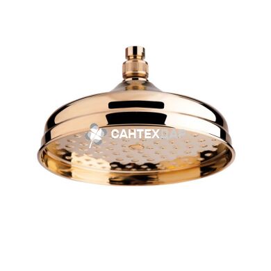 Лейка для верхнего душа Bianchi SOFOLF050000 ORO 200мм